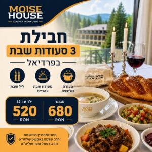 Shabbat in Predeal - three meals package - child