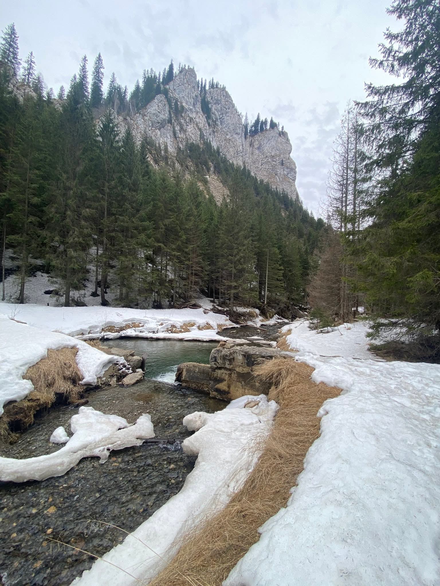 Forests and mountains around Predeal